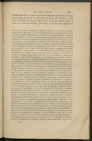 Página 161