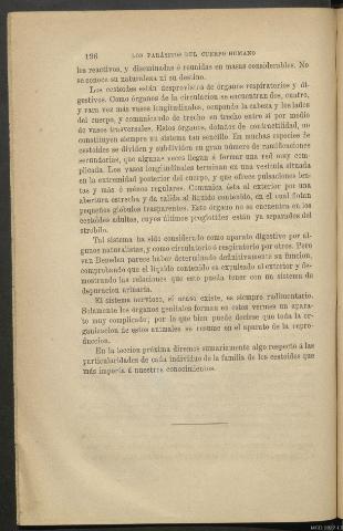 Página 196