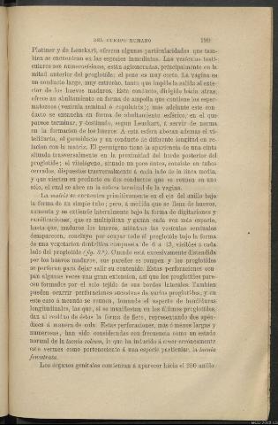 Página 199