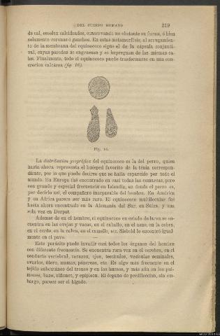 Página 219