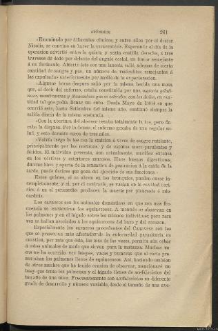 Página 261