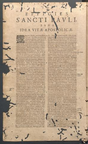 Página 12