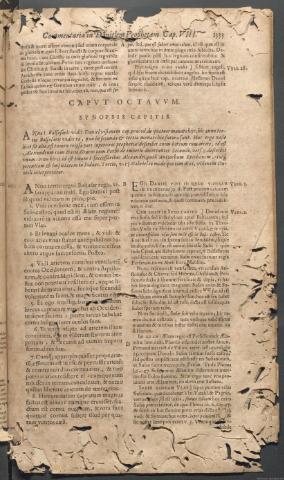Página 1333
