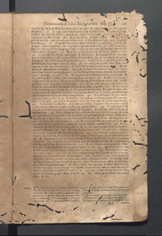 Página 191