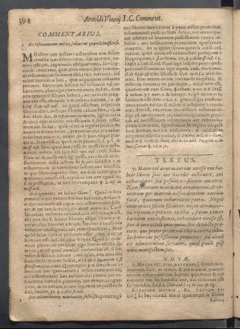 Página 394