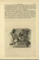 Pag. 205