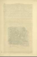 Pag. 206