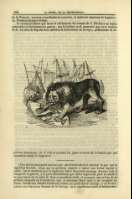 Pag. 222