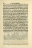 Pag. 228