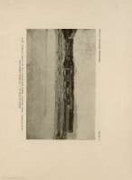 PLATE V
