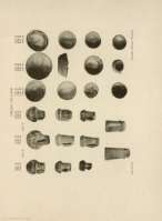 PLATE III