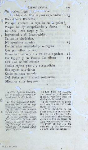 29