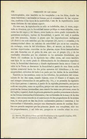 Página 376
