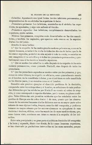 Página 425