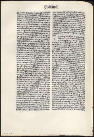 Página 146