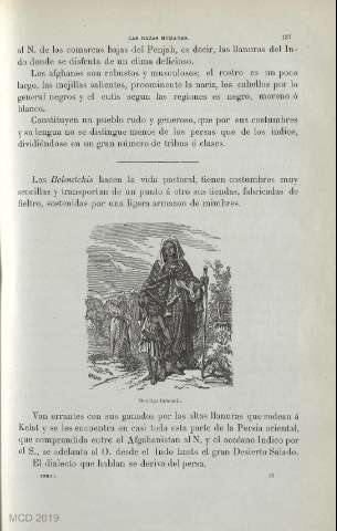 Página 0137