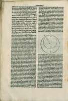 194