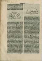 262