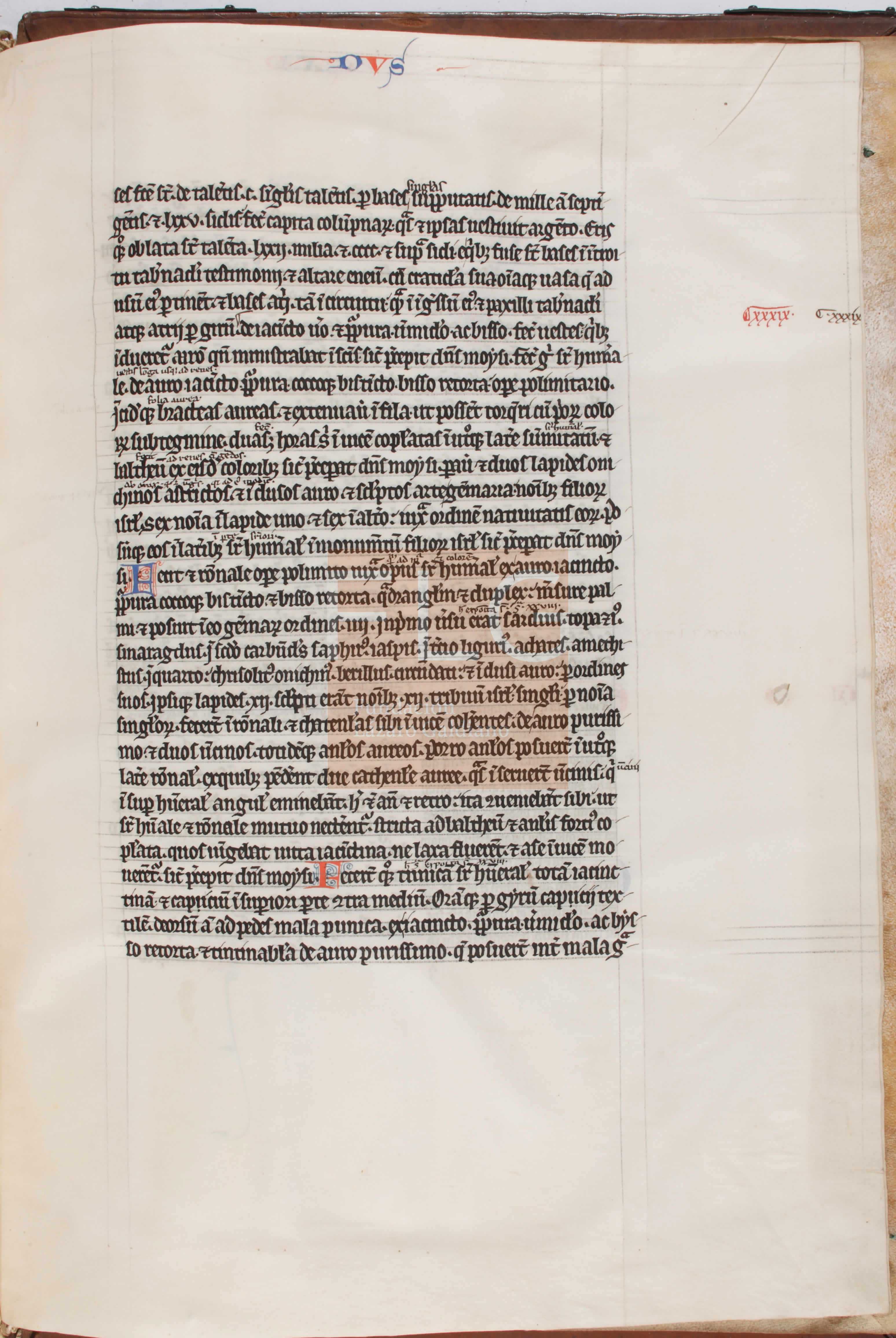 Fol. 175r