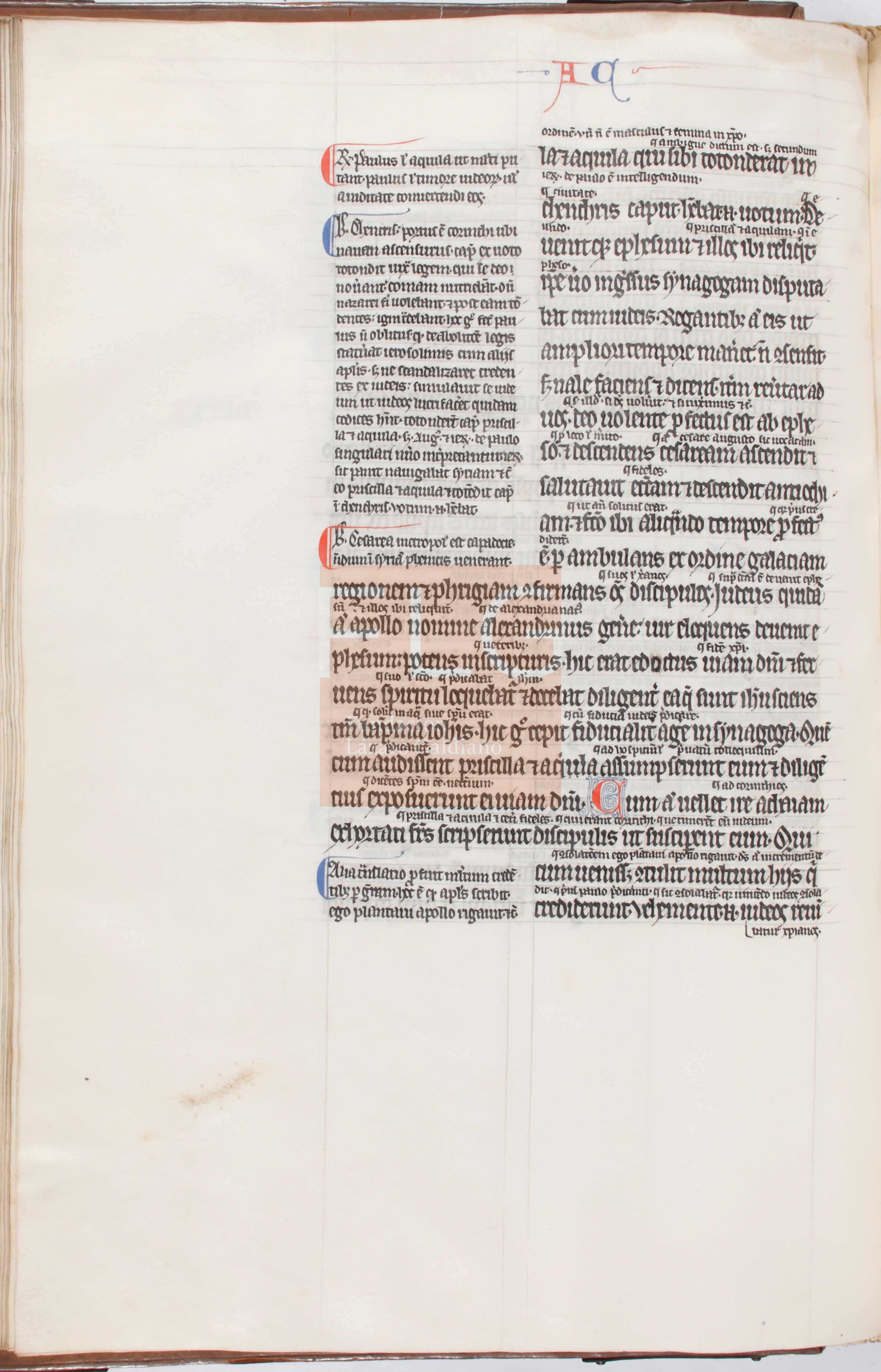 Fol. 50v