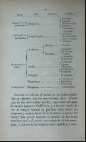Pag. 48