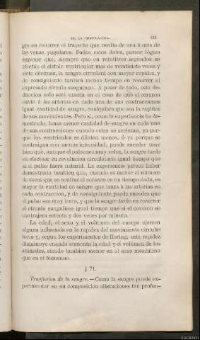 Página 233