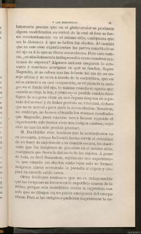 Página 31