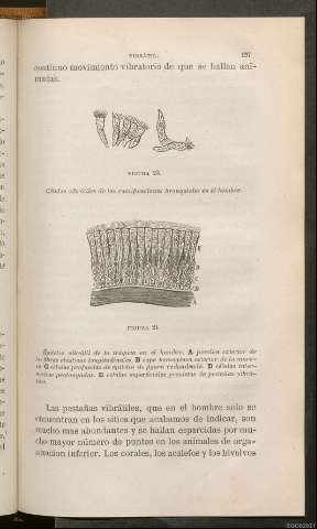 Página 197