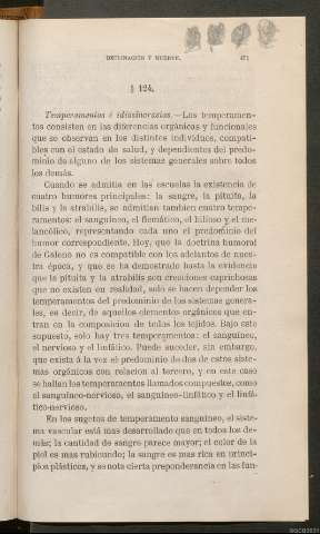 Página 451