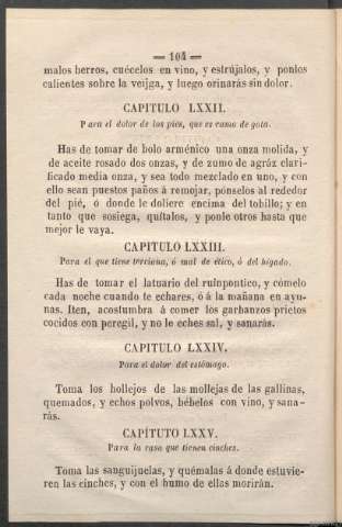 Página 104
