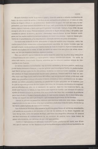 Página CXXVII