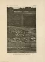 PLATE II