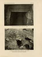 PLATE IX