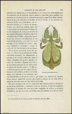 Página 363