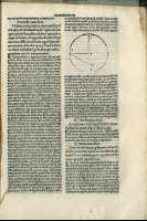 229