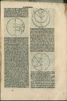 231