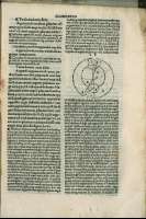 233
