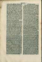 238