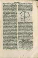 239