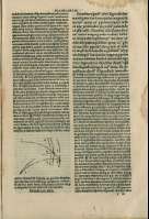 263