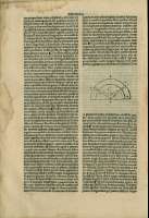 264