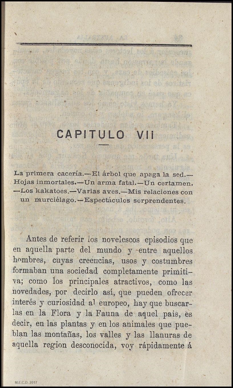 CAPÍTULO VII