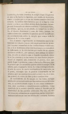Página 221