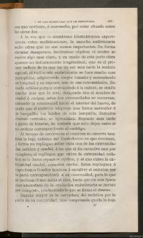 Página 417