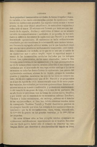 Página 251