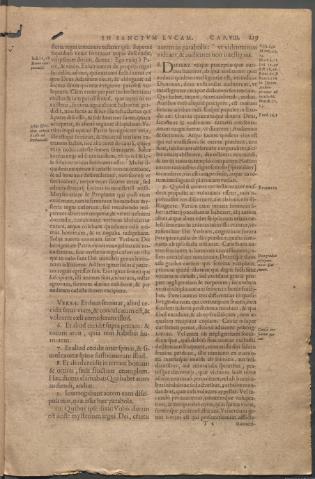 Página 219