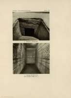 PLATE VII