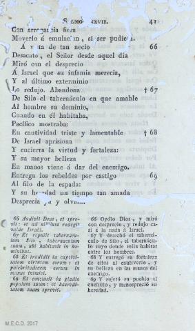41
