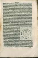 131