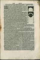 141